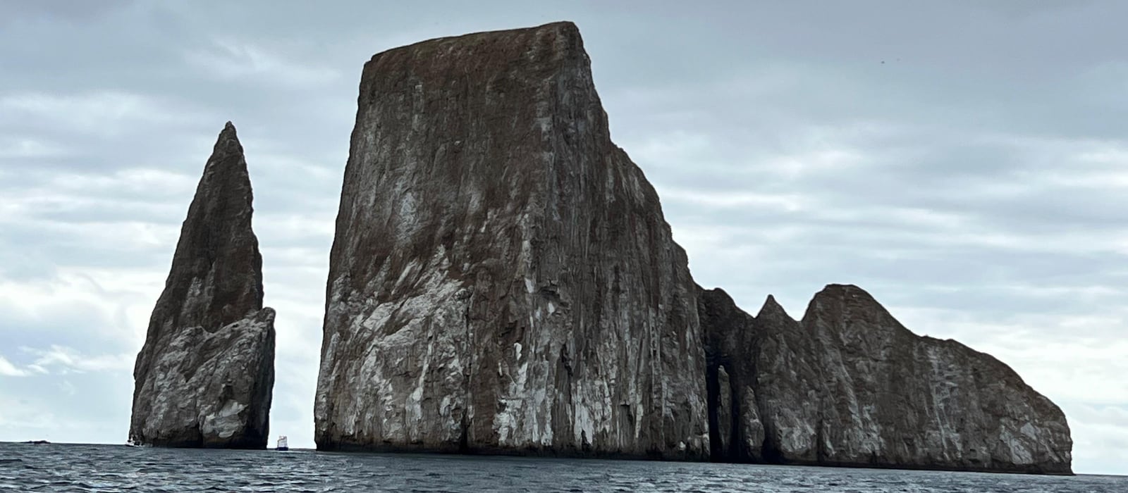 Photography in the Galápagos: the complete guide
