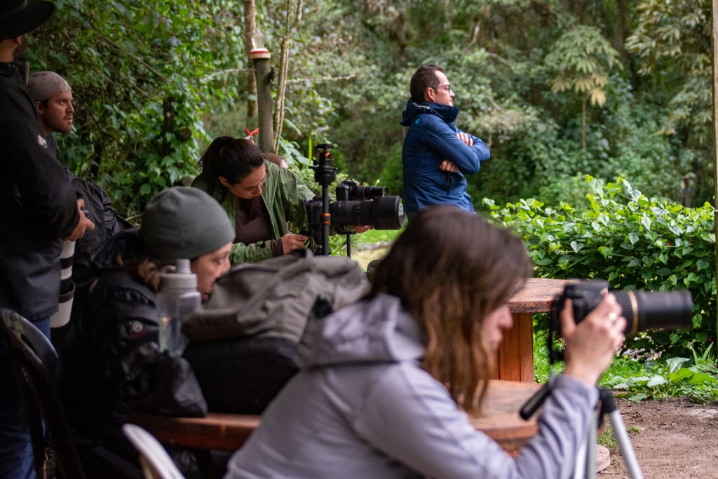 Photographing hummingbirds: shutter speed is everything
