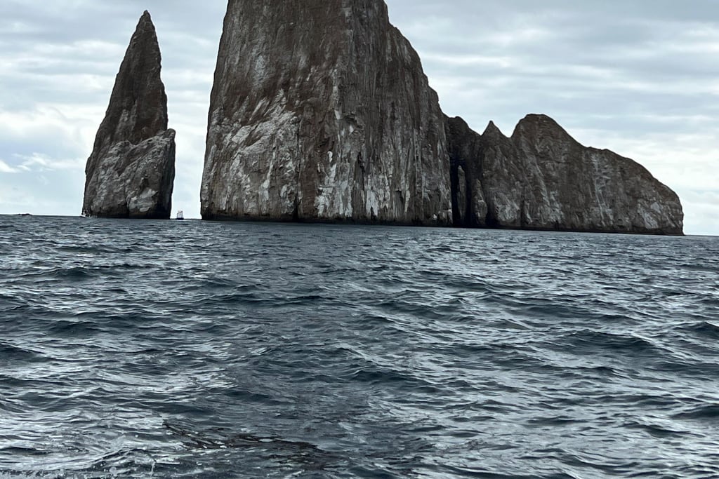 Underwater photography in the Galápagos without a housing