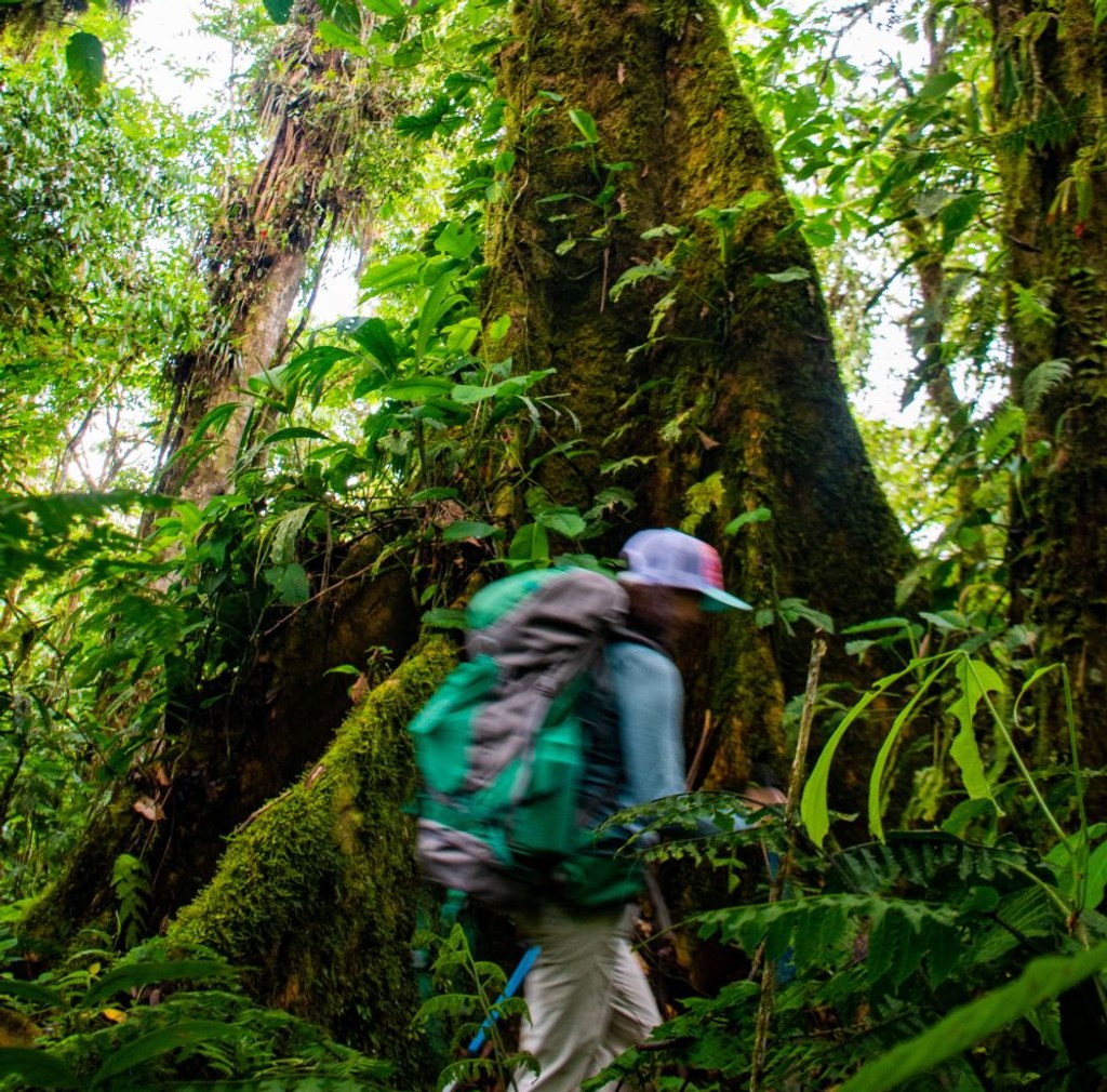 Andes & Amazon
